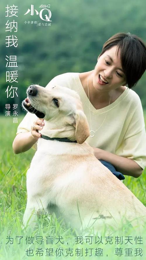 北爱达荷学院理工科文凭证书